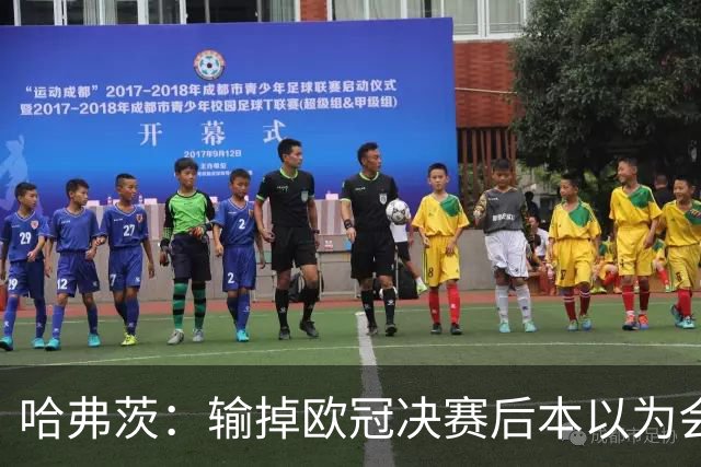 哈弗茨：输掉欧冠决赛后本以为会取消游行 补水暂停断节奏很烦